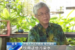 日本冲绳人的伤痛：无解的美军基地水污染问题