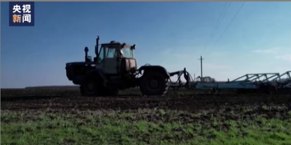 联合国粮农组织：乌克兰小麦将大幅减产