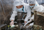 三星堆重大发现！信息量巨大