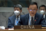 戴兵：跨线救援应该成为对叙人道救援的主渠道