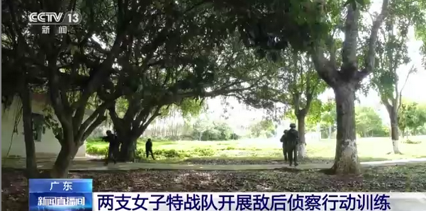 广东两支女子特战队开展敌后侦察行动训练