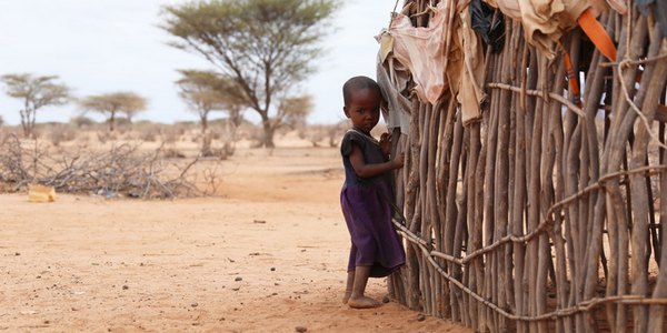 全球连线 | 肯尼亚遭遇40年最严重干旱 超400万人面临粮食短缺