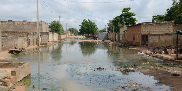 尼日尔强降雨死亡人数升至103人