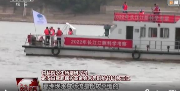 2022年长江江豚科考第二天 首批发现的江豚群中有“小朋友”