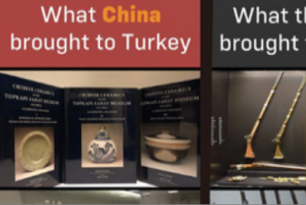 中国和西方分别带给土耳其什么？华春莹又发了一组对比图