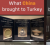 中国和西方分别带给土耳其什么？华春莹又发了一组对比图