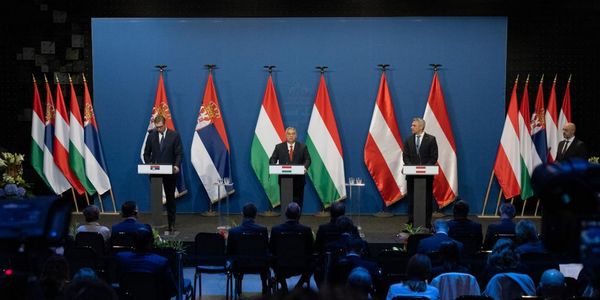 匈奥塞三国同意合作打击非法移民