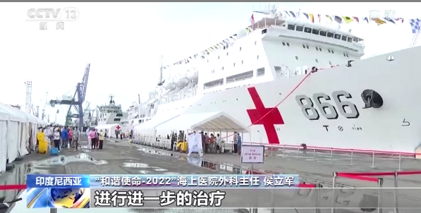 印度尼西亚：“和平方舟”号医院船与多国专家线上会诊