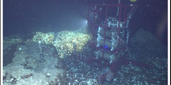 我国在南海成功构建深海原位光谱实验室