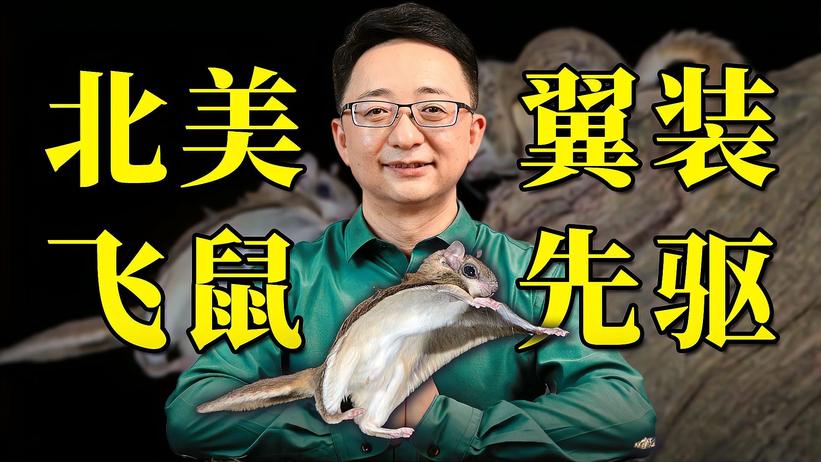 颜值超高的北美飞鼠，不光会飞，还是粉色荧光发射器