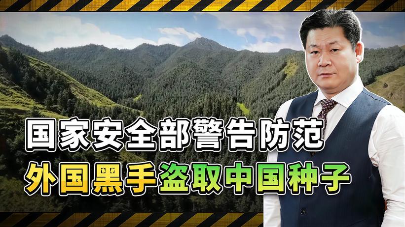 外国人在中国非法挖掘、采摘珍稀野生植物，中国国安部门发出警告